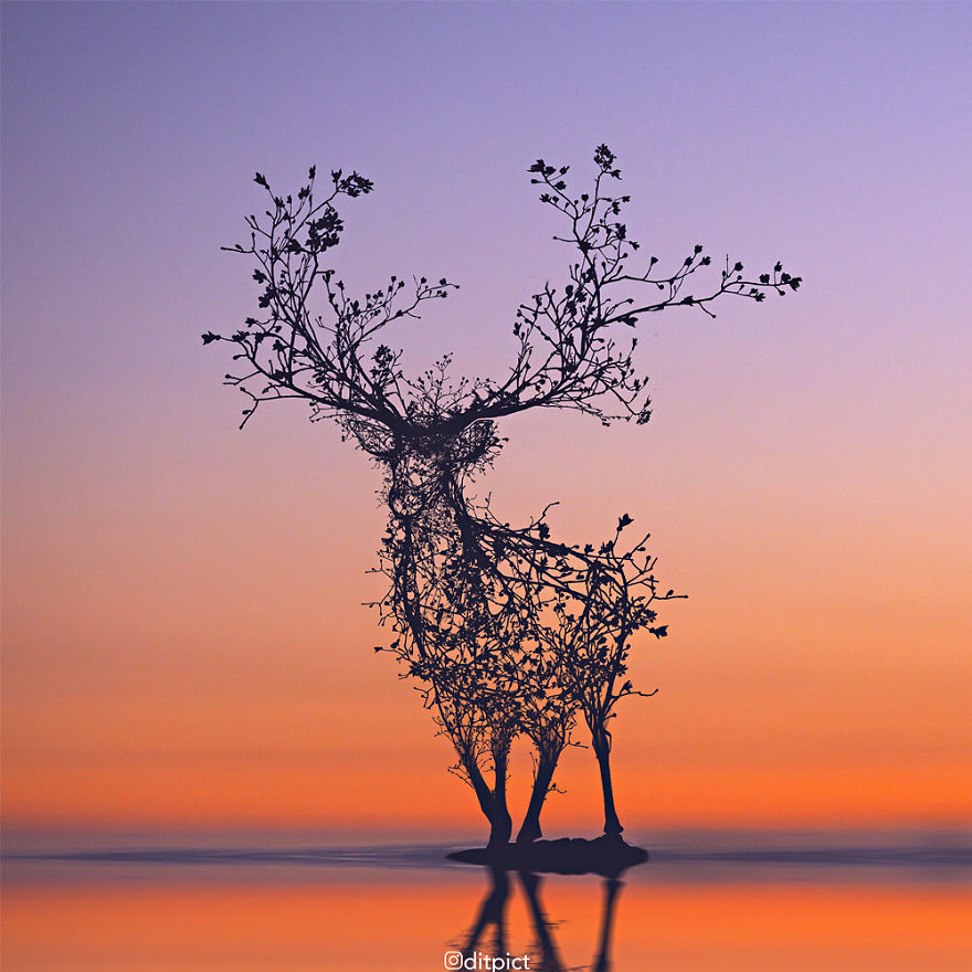 Indonesian Artist Uses Photoshop To Show A Surreal Image Of Animals