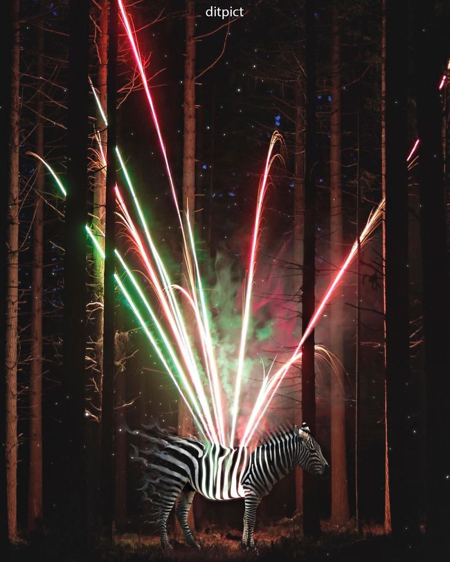 Indonesian Artist Uses Photoshop To Show A Surreal Image Of Animals