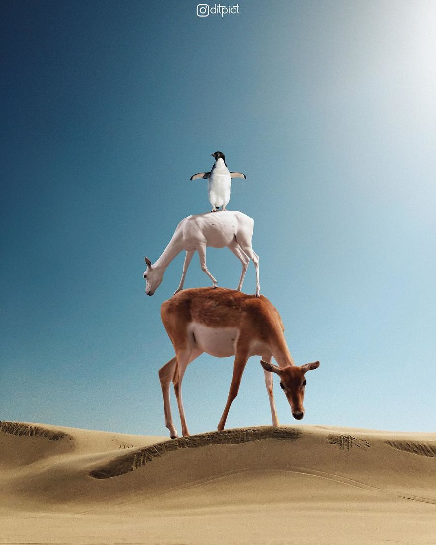 Indonesian Artist Uses Photoshop To Show A Surreal Image Of Animals