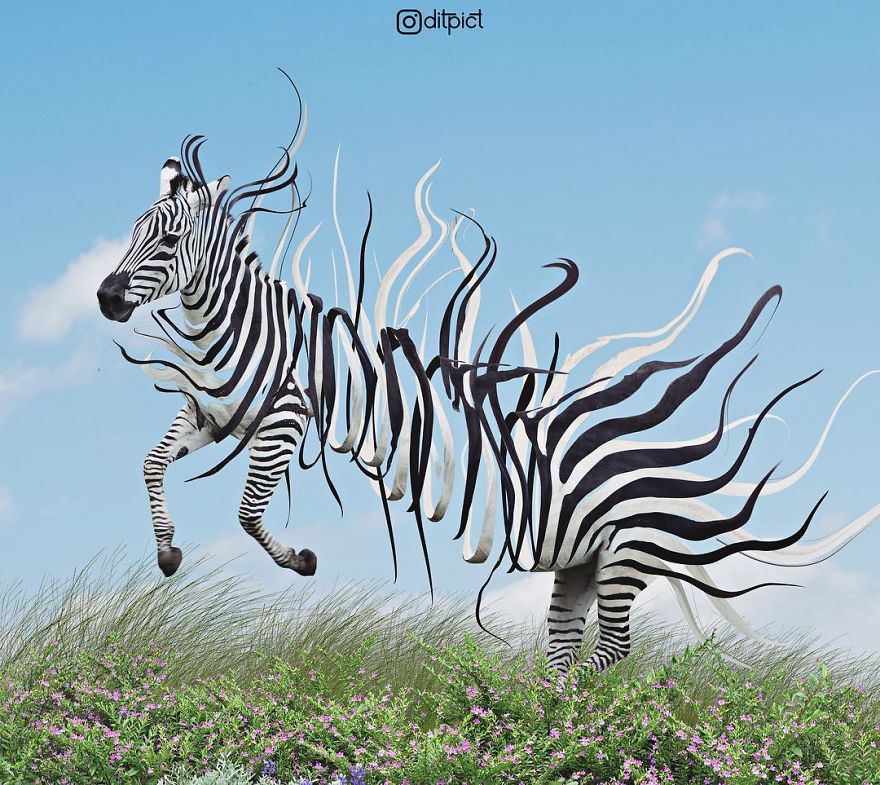 Indonesian Artist Uses Photoshop To Show A Surreal Image Of Animals