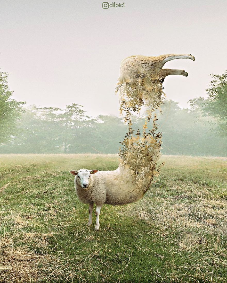 Indonesian Artist Uses Photoshop To Show A Surreal Image Of Animals