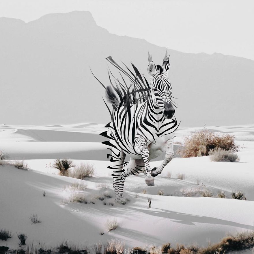 Indonesian Artist Uses Photoshop To Show A Surreal Image Of Animals