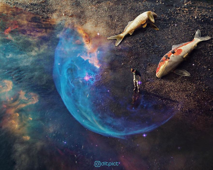 Indonesian Artist Uses Photoshop To Show A Surreal Image Of Animals