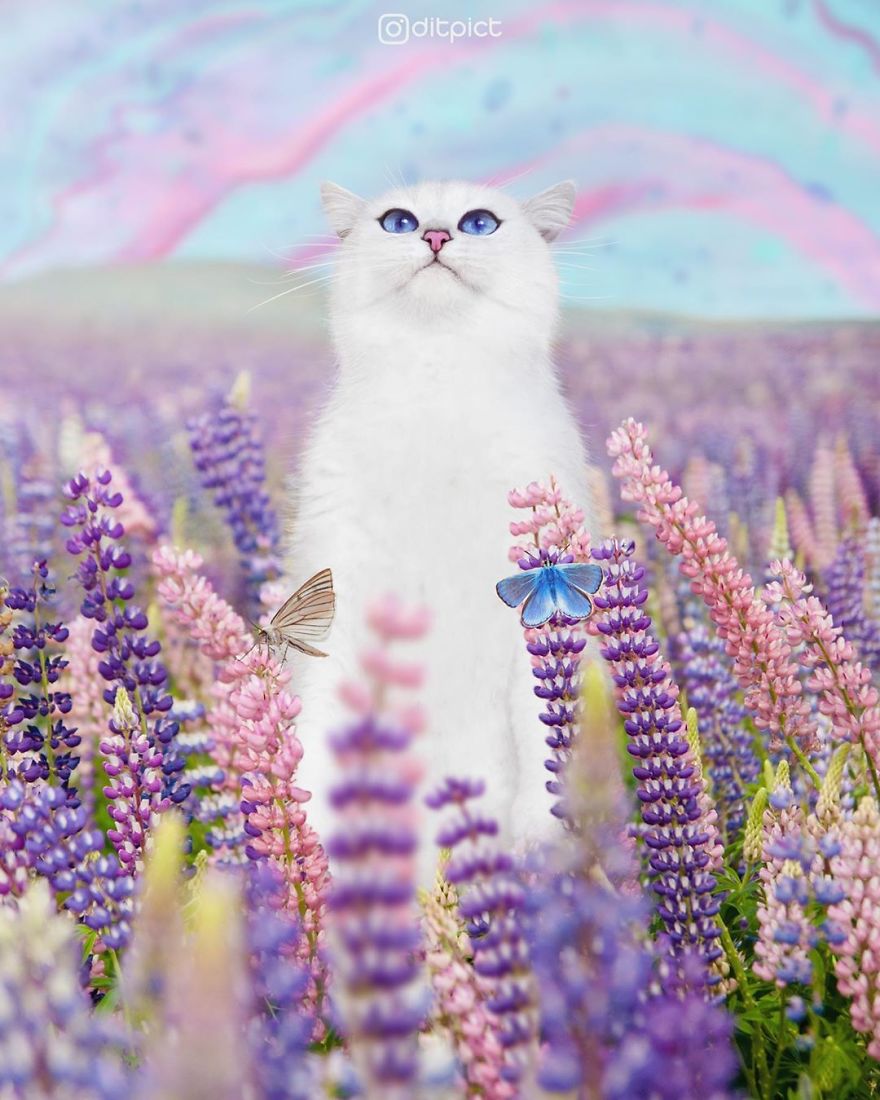 Indonesian Artist Uses Photoshop To Show A Surreal Image Of Animals