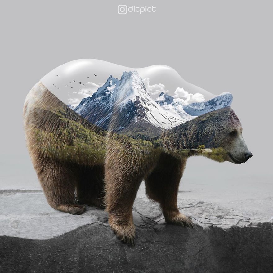 Indonesian Artist Uses Photoshop To Show A Surreal Image Of Animals