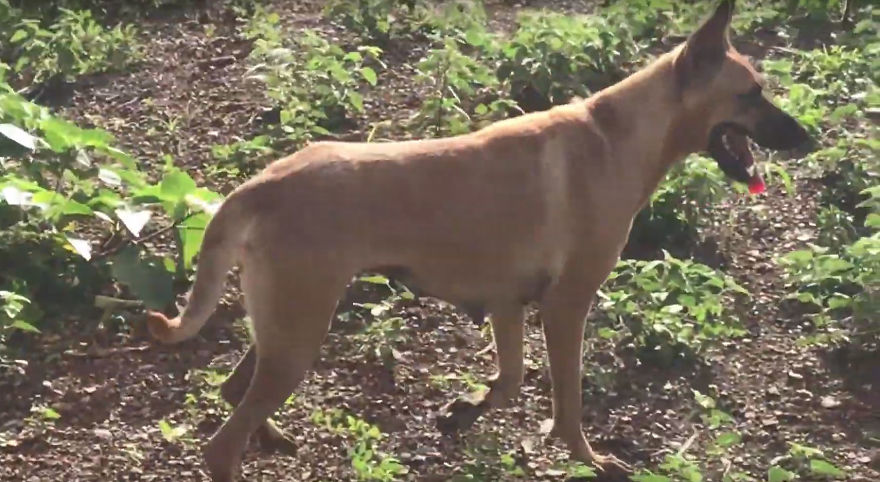 Lost In The Streets With No Food