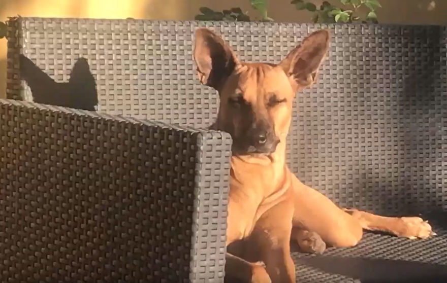 Lost In The Streets With No Food