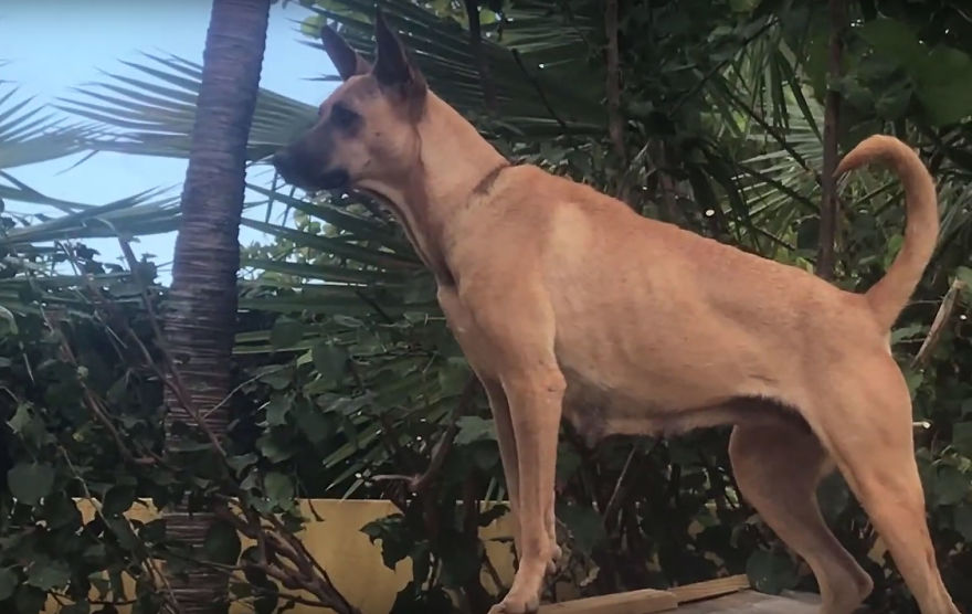 Lost In The Streets With No Food