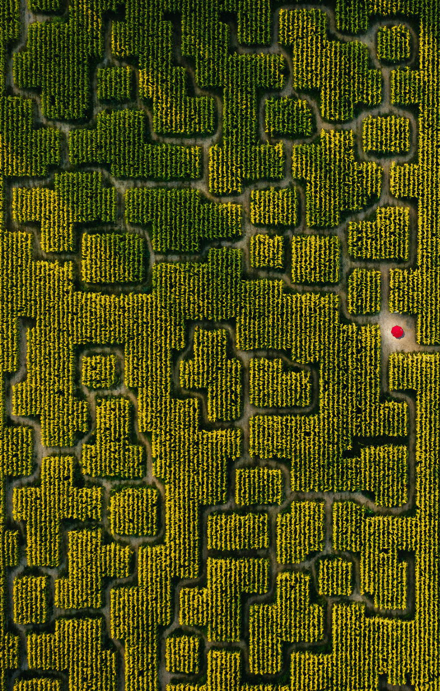 Lost In The Maze