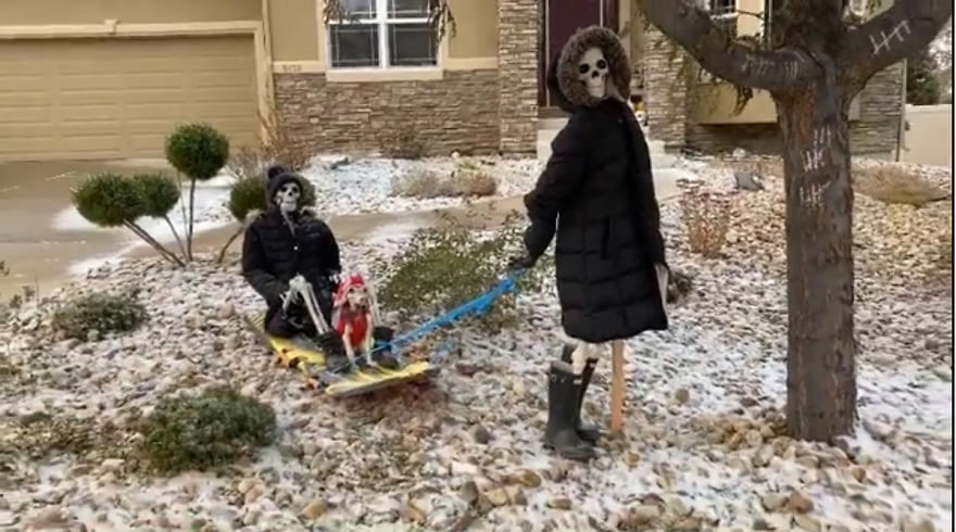 Dashing Through The Snow, In A One Human Open Sleigh!