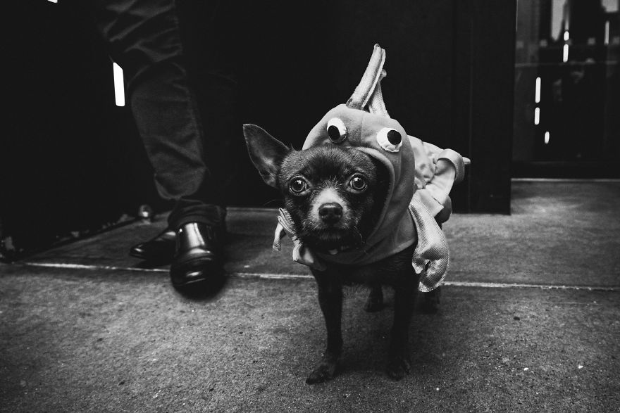 I Photographed Halloween In New York And More