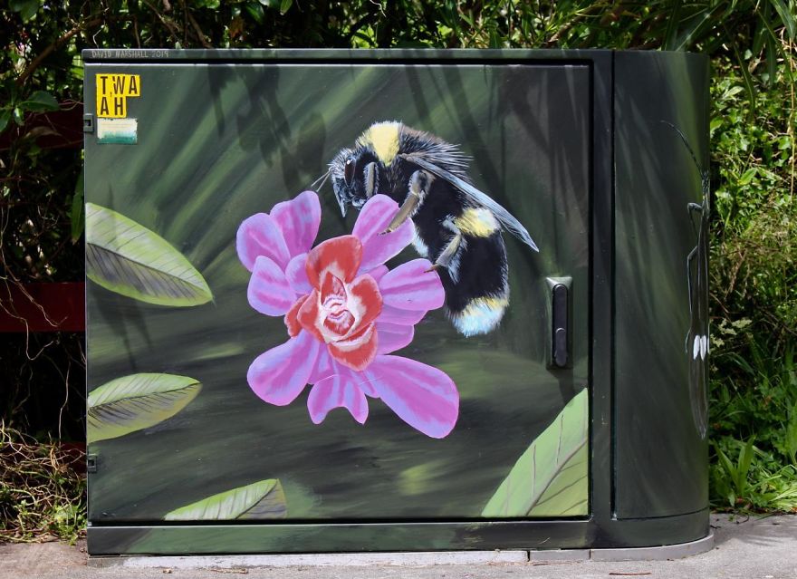 Artist David Marshall