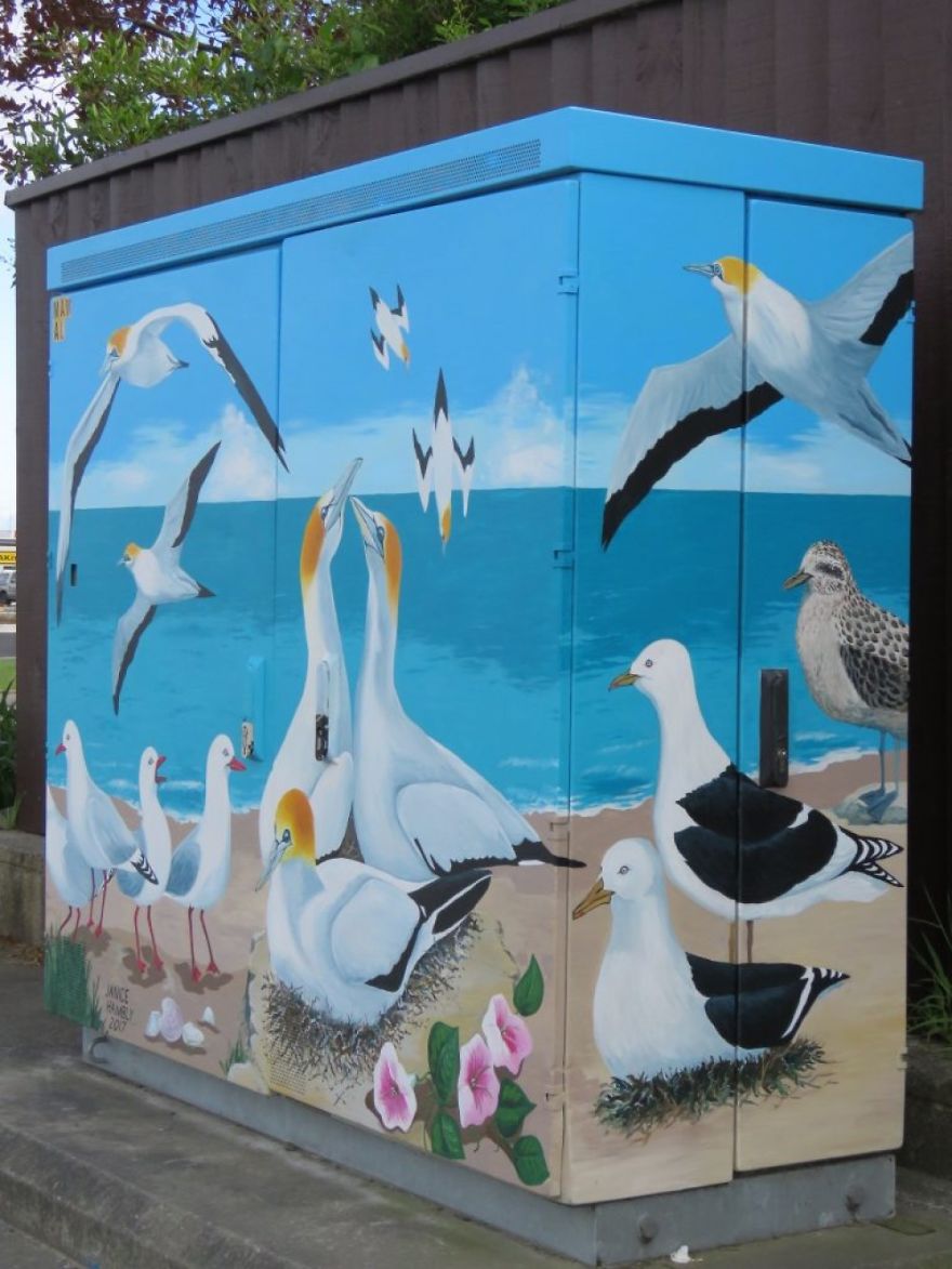 Gannets By Janice Hambly