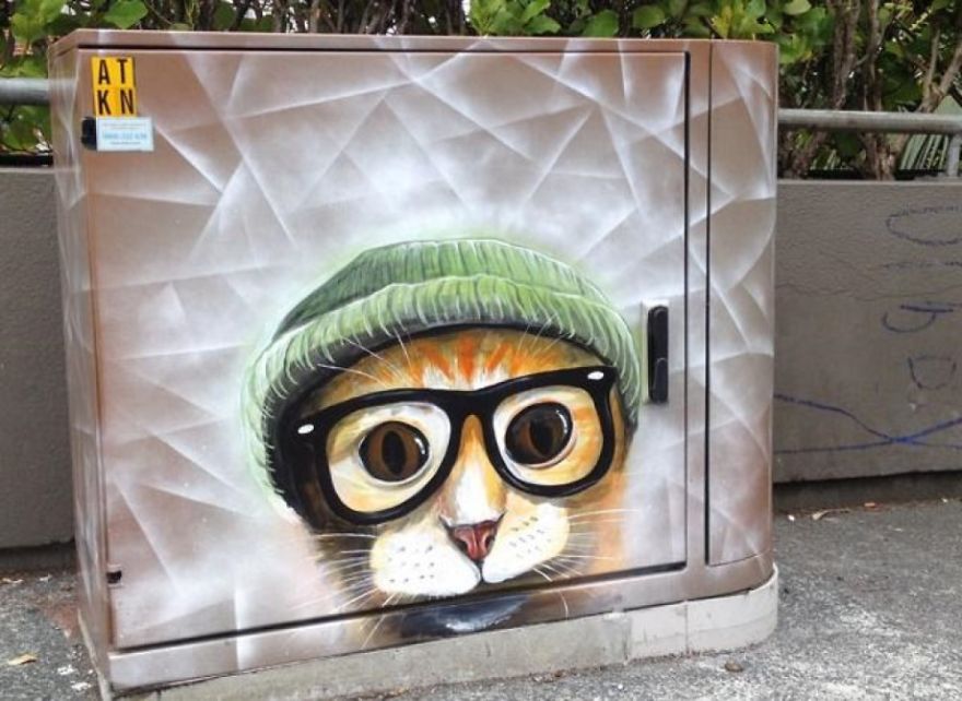 "Student Cat" By Paul Walsh