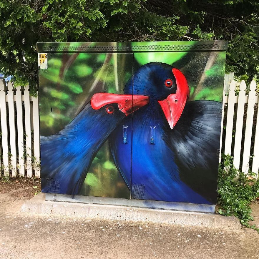 Native Pukeko By Paul Walsh