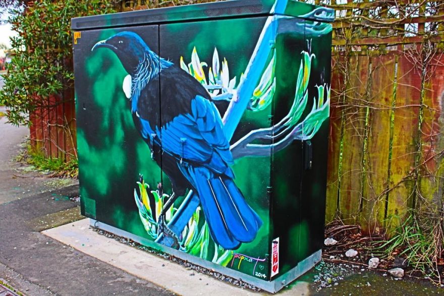 Native Tui On Wharariki Flowers (Mountain Flax) By Richard Baker Aka Popx Art