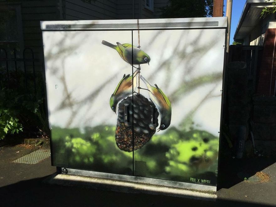 "Wax-Eye" By Paul Walsh