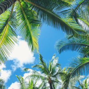 isabellaszick2 avatar