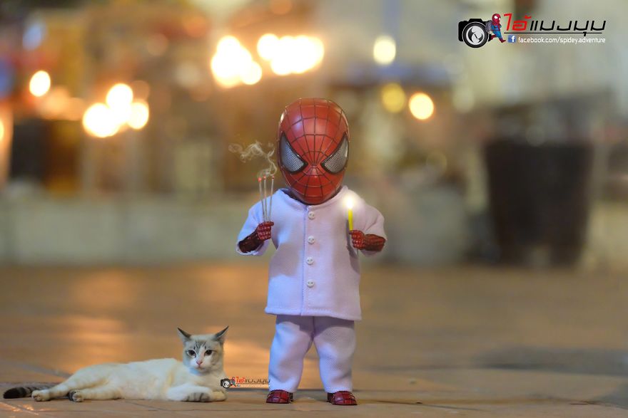 See The Adventures Of A Mini Spiderman With Lovely Cats Created By A Thai Artist