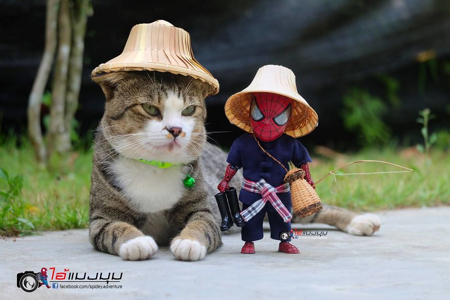See The Adventures Of A Mini Spiderman With Lovely Cats Created By A Thai Artist