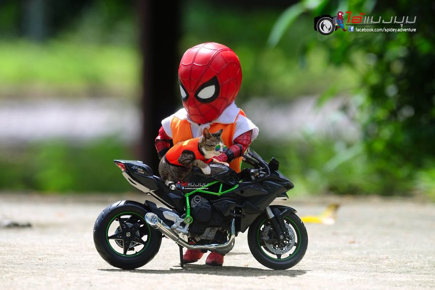 See The Adventures Of A Mini Spiderman With Lovely Cats Created By A Thai Artist