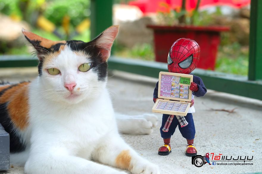 See The Adventures Of A Mini Spiderman With Lovely Cats Created By A Thai Artist