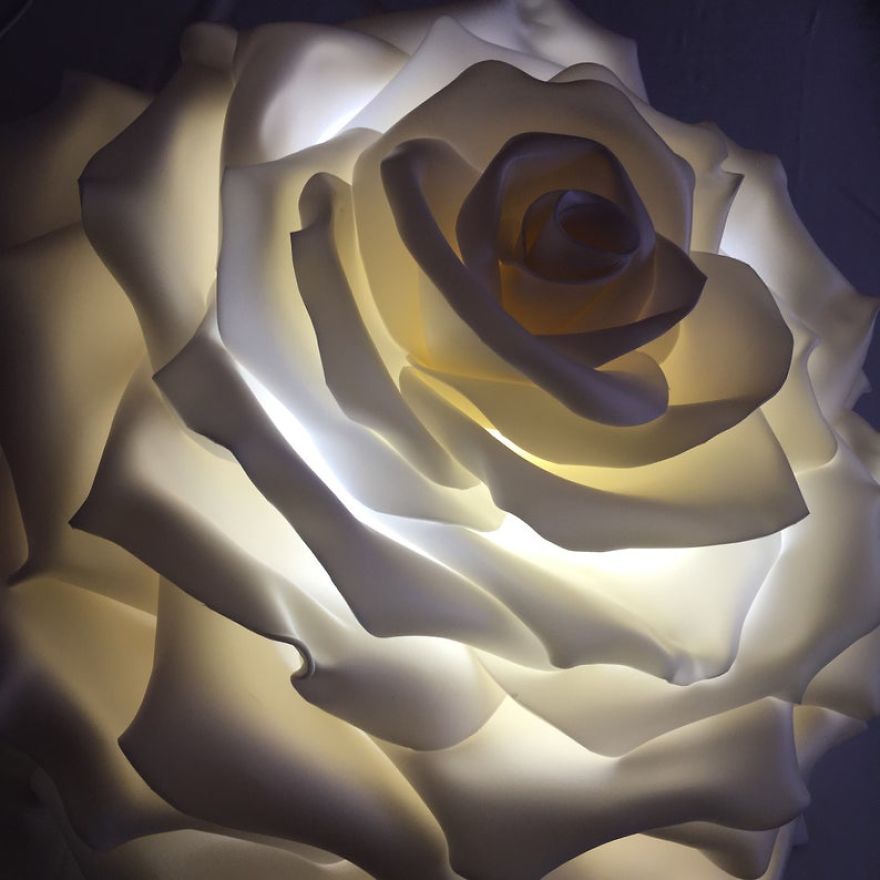 Start Up At 47 Y.o. Giant Flowers Bloom In Her Hands Start Up At 47 Y.o. Giant Flowers Bloom In Her Hands