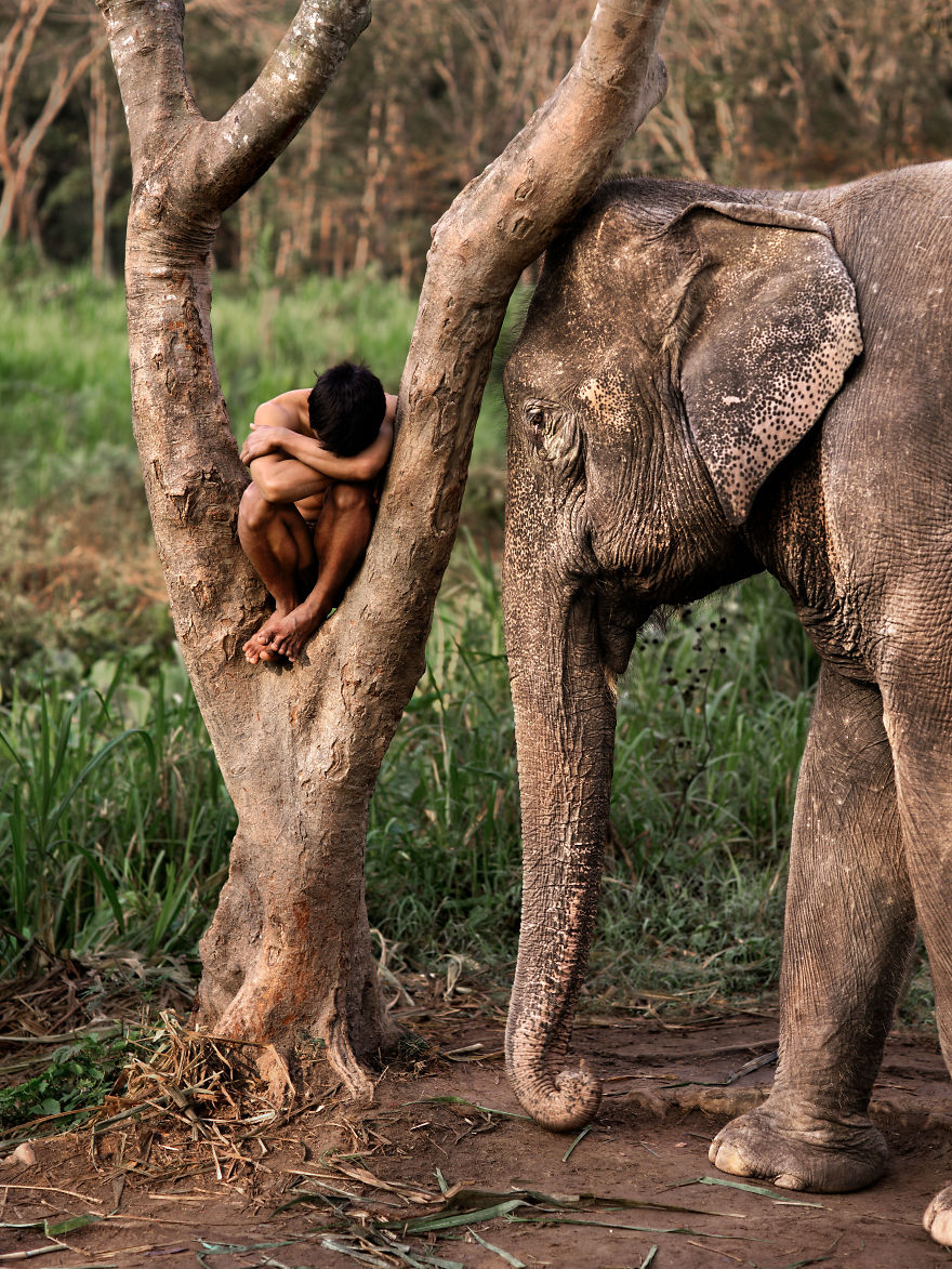 The Special Bond Between Humans And Animals Portrayed By Steve Mccurry