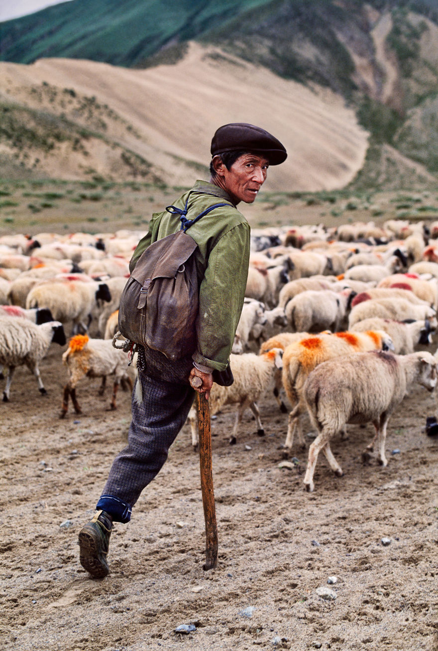 The Special Bond Between Humans And Animals Portrayed By Steve Mccurry