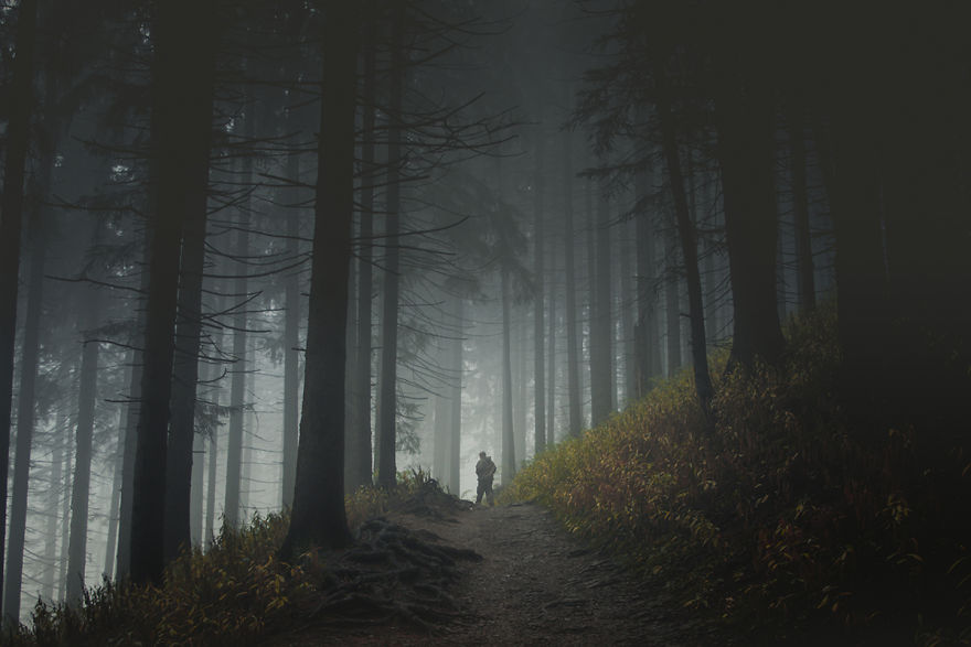 Forest Path In Tatra Mountains, Poland