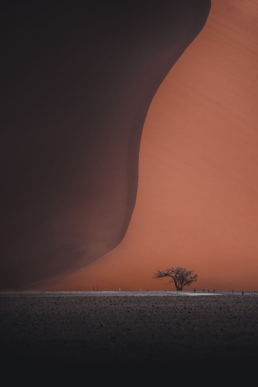 The Dune