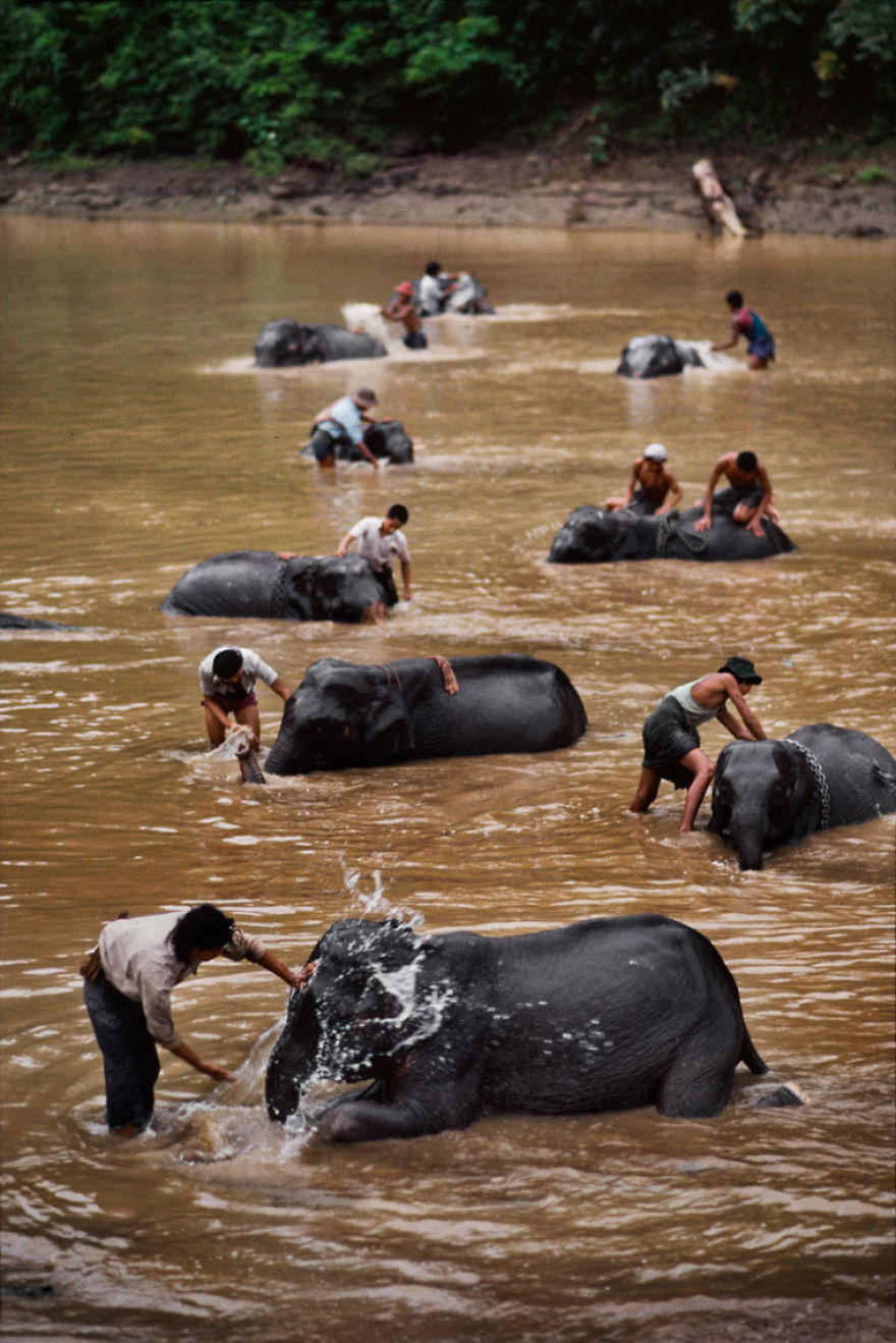 The Special Bond Between Humans And Animals Portrayed By Steve Mccurry