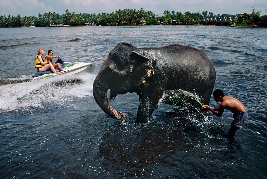The Special Bond Between Humans And Animals Portrayed By Steve Mccurry