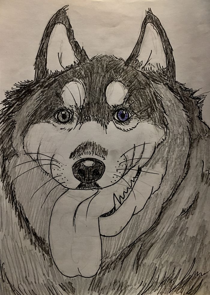 Day 6: Husky