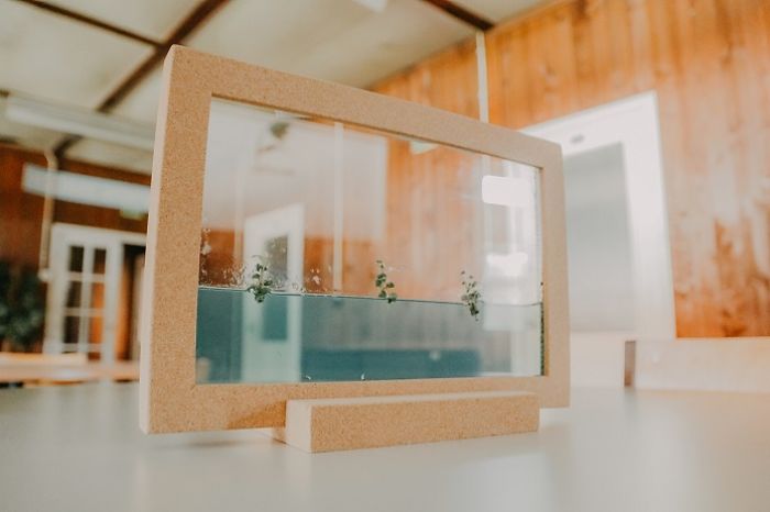 I Made This Self-Sustainable Ecosystem In A Cork Frame