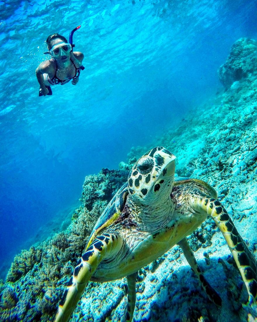 Galapagos Islands, Ecuador