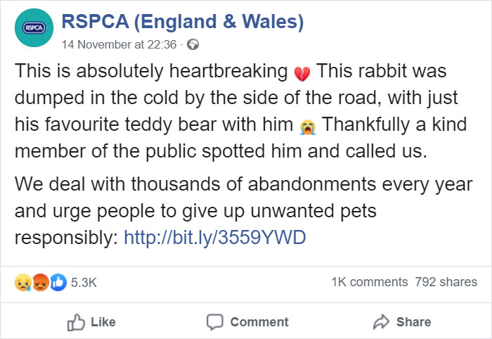 Rescuers Take In An Abandoned Rabbit Clinging To Its Teddy Bear