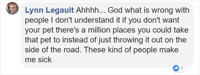 Rescuers Take In An Abandoned Rabbit Clinging To Its Teddy Bear