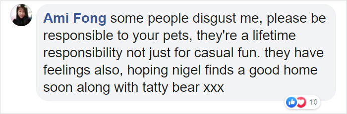 Rescuers Take In An Abandoned Rabbit Clinging To Its Teddy Bear