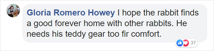 Rescuers Take In An Abandoned Rabbit Clinging To Its Teddy Bear