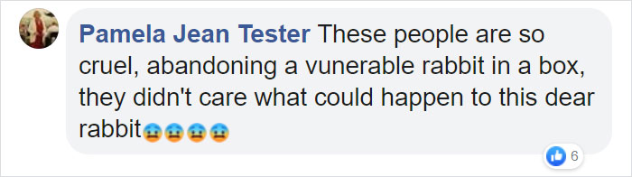 Rescuers Take In An Abandoned Rabbit Clinging To Its Teddy Bear