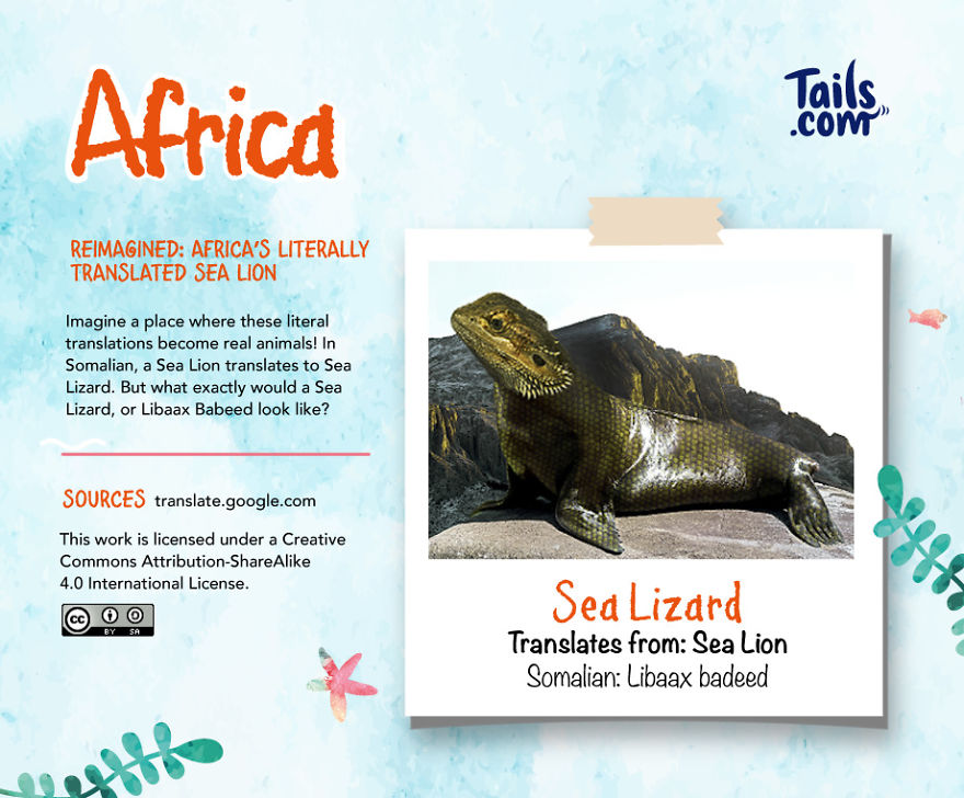 Literally-Translated Animal World Map Shows How Ridiculous Their Names Can Be Literally-Translated Animal World Map Shows How Ridiculous Their Names Can Be