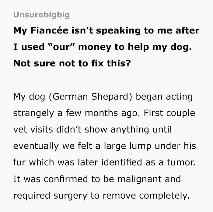 "My Fianc&eacute;e Isn&rsquo;t Speaking To Me After I Used 'Our' Money To Help My Dog"