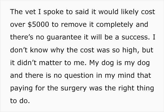 "My Fianc&eacute;e Isn&rsquo;t Speaking To Me After I Used 'Our' Money To Help My Dog"