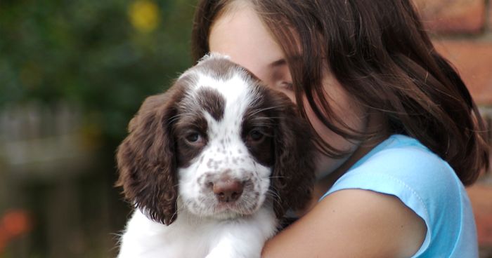 Animal Cruelty Is Now Officially A Nationwide Felony In The USA