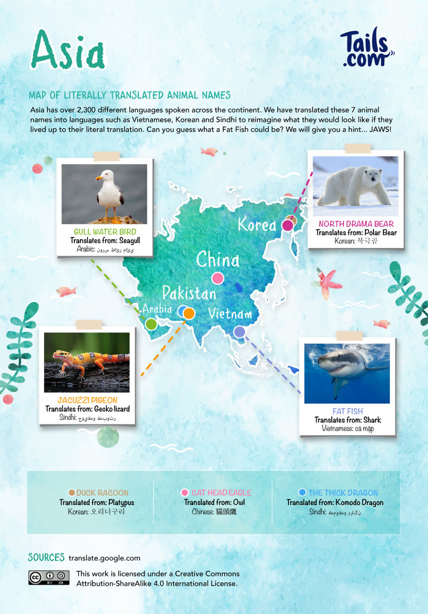 Literally-Translated Animal World Map Shows How Ridiculous Their Names Can Be Literally-Translated Animal World Map Shows How Ridiculous Their Names Can Be