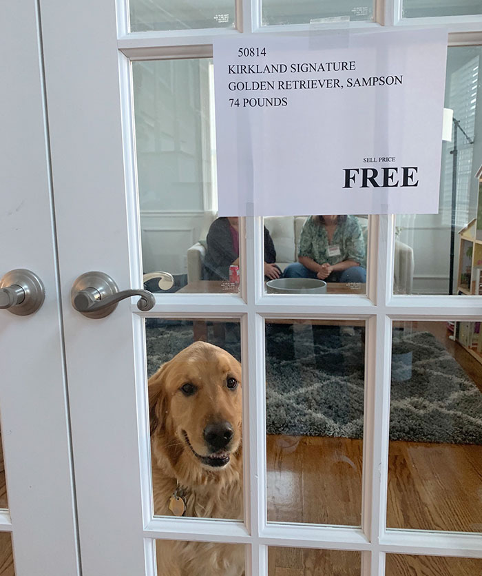 Wife Instantly Regrets Letting Husband Pick Out A Theme For Their 1 Y.O. Son's Birthday