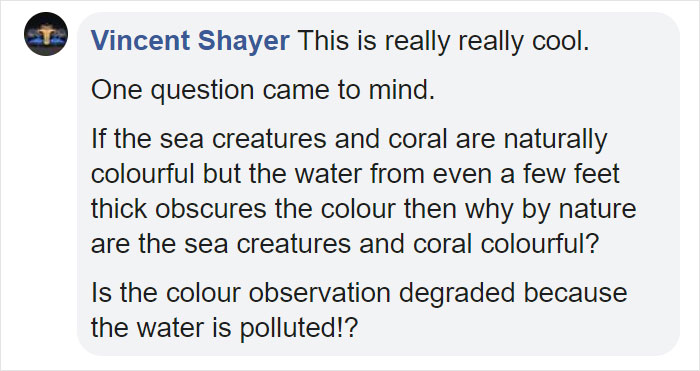 Scientists Create An Algorithm That Removes Color Distortion From Underwater Photos And Here Are 8 Before And After Pics Scientists Create An Algorithm That Removes Color Distortion From Underwater Photos And Here Are 8 Before And After Pics