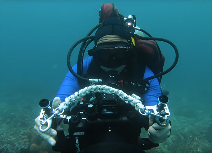 Scientists Create An Algorithm That Removes Color Distortion From Underwater Photos And Here Are 8 Before And After Pics