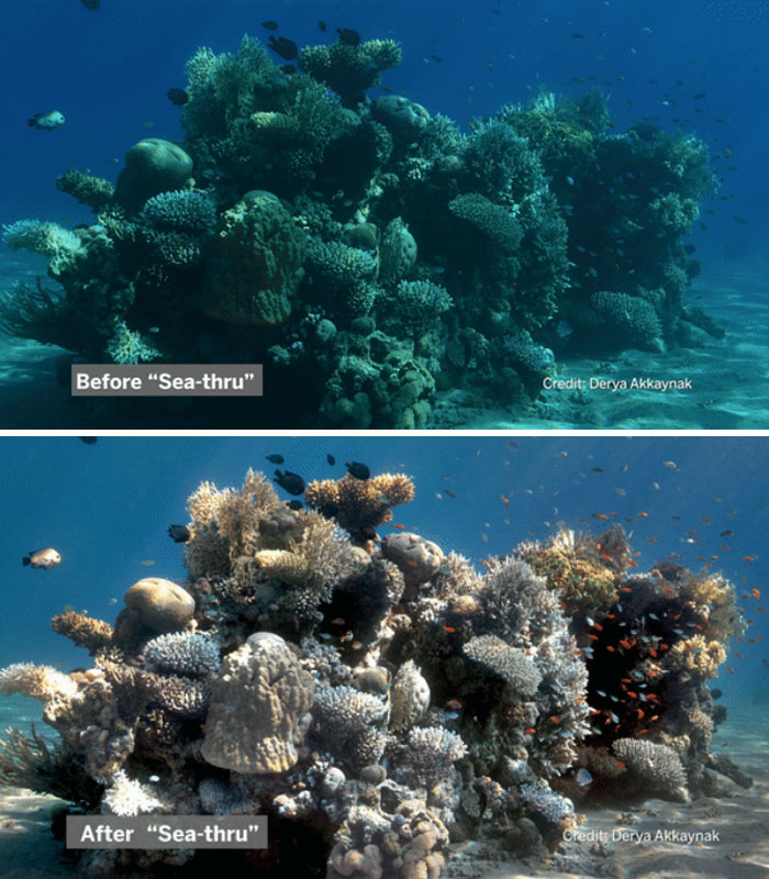 Scientists Create An Algorithm That Removes Color Distortion From Underwater Photos And Here Are 8 Before And After Pics Scientists Create An Algorithm That Removes Color Distortion From Underwater Photos And Here Are 8 Before And After Pics